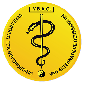 VBAG logo
